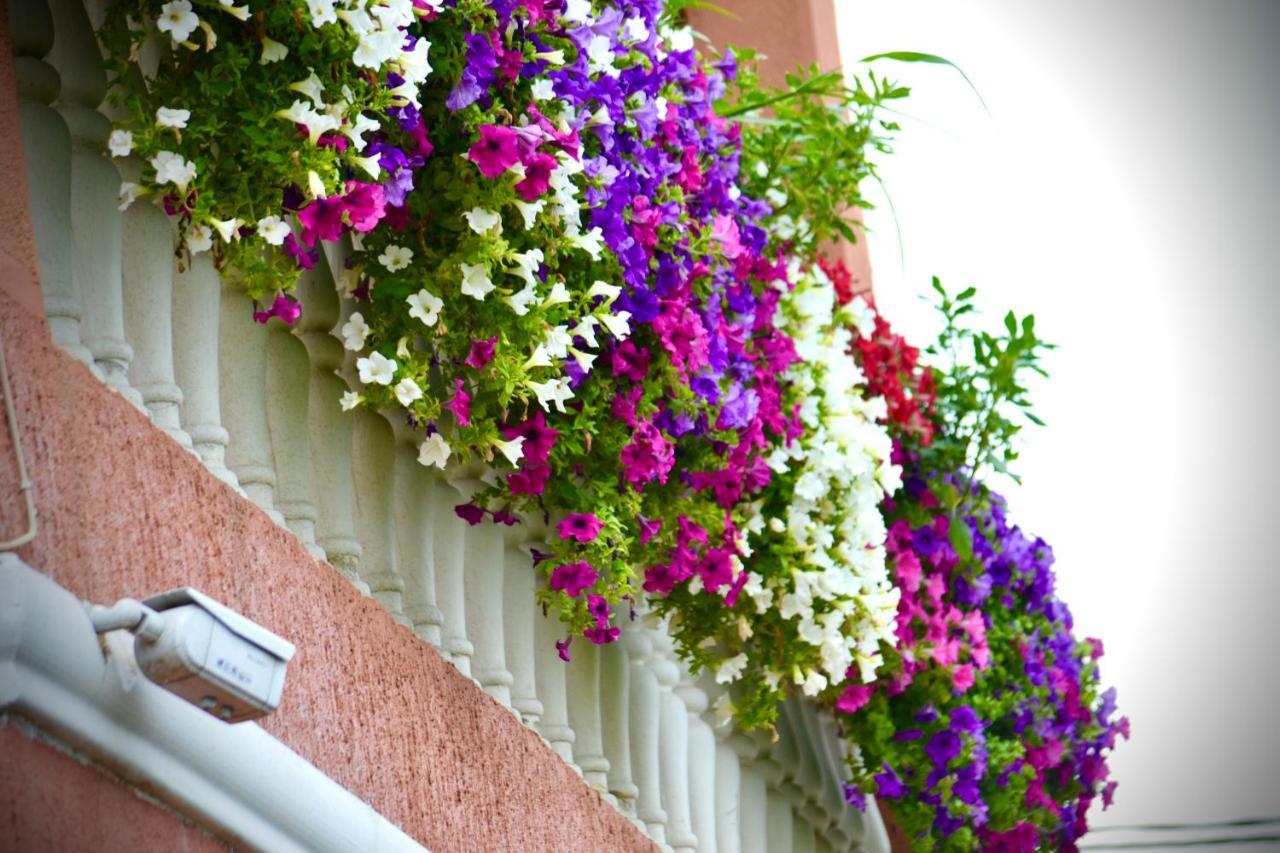 Lana Apartment Podgorica Exterior photo