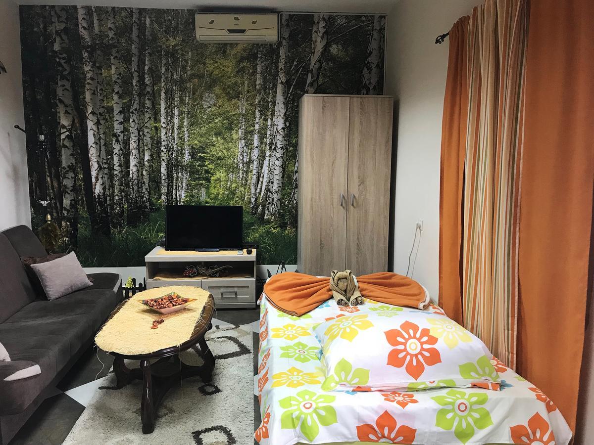 Lana Apartment Podgorica Exterior photo